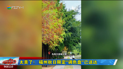 太美了！福州秋日限定“调色盘”已送达