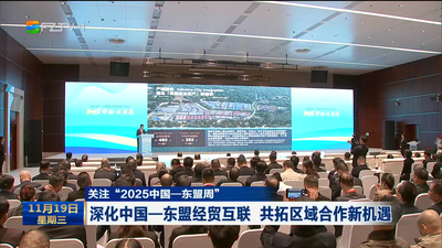 关注“2025中国—东盟周”丨深化中国—东盟经贸互联 共拓区域合作新机遇