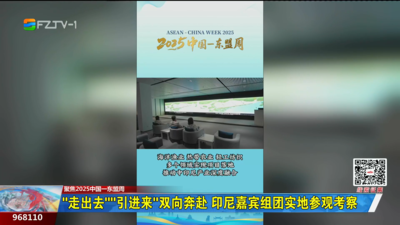 “走出去”“引进来”双向奔赴 印尼嘉宾组团实地参观考察