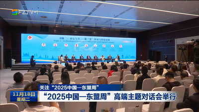 关注“2025中国—东盟周”丨“2025中国—东盟周”高端主题对话会举行