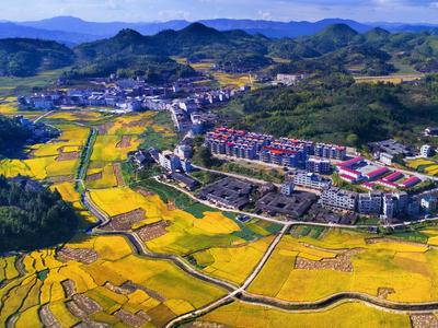 移风易俗在乡村丨巧用红白理事会 让文明新风吹遍山乡