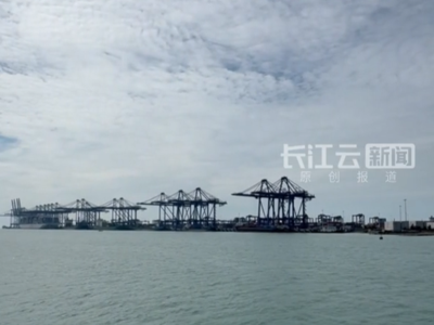 海南自贸港封关倒计时 未来洋浦港集装箱吞吐量将大幅提升