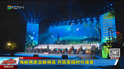 海峡两岸血脉相连 共筑家园时代强音