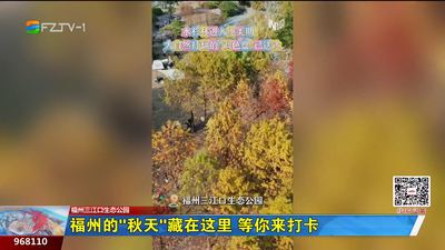 福州的“秋天”藏在这里 等你来打卡