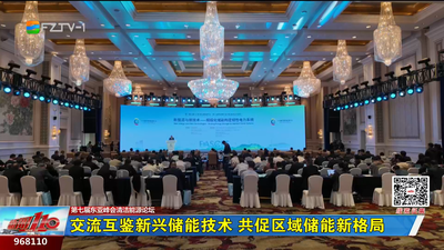 交流互鉴新兴储能技术 共促区域储能新格局