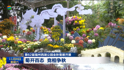 第62届福州西湖公园金秋菊展开展 菊开百态 竞相争秋