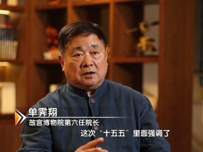 首善答卷百人谈微访谈 对话故宫博物院第六任院长单霁翔