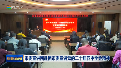 市委宣讲团赴团市委宣讲党的二十届四中全会精神