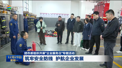 团市委组织开展“企业服务日”专题活动 筑牢安全防线 护航企业发展