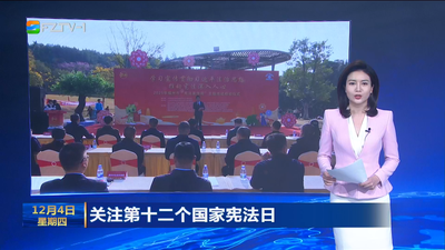 关注第十二个国家宪法日