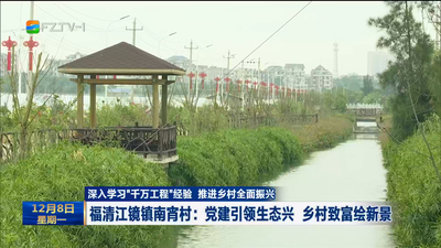 福清江镜镇南宵村：党建引领生态兴 乡村致富绘新景