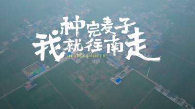 《种完麦子我就往南走》