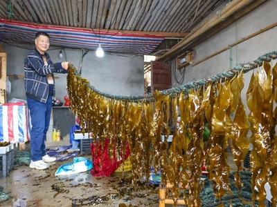 央视关注福州：福州“海带芯”上央视