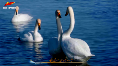 《怦然“新”动的冬天》第六期 