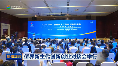 侨界新生代创新创业对接会举行