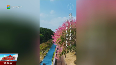 多彩冬日·幸福之城：异木棉开幸福来 福州冬日“粉色浪漫”刷屏