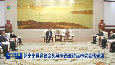 郭宁宁吴贤德会见马来西亚诗巫市议会代表团