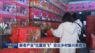 新老产业“比翼双飞” 绘出乡村振兴新图景