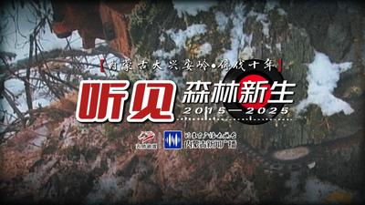 《听见森林新生》