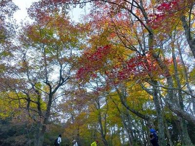 福清大化山“枫”情万种