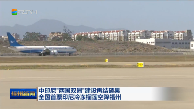 中印尼“两国双园”建设再结硕果 全国首票印尼冷冻榴莲空降福州