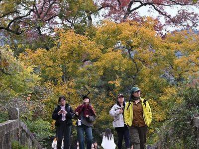 新华网关注：福州九峰村冬景迷人