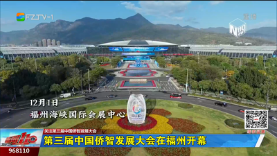 第三届中国侨智发展大会在福州开幕