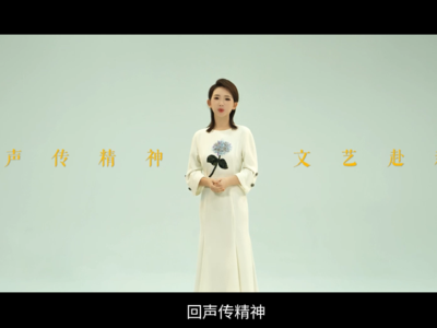 中国文联系列微纪录片《回声》第五集《一支画笔为人民》