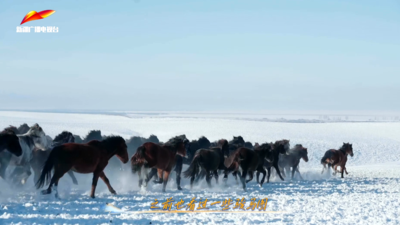 《怦然“新”动的冬天》第五期