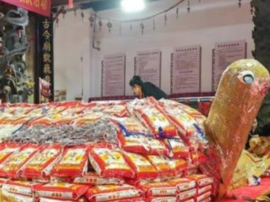 两岸同胞共话文化遗产保护传承 16888斤大米堆塑米龟亮相祈福