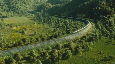 《黄雀》第一集