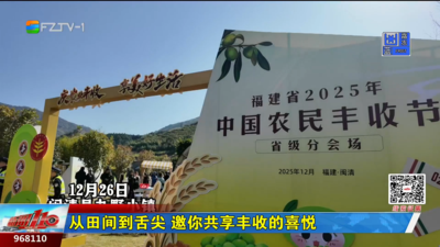 从田间到舌尖 邀你共享丰收的喜悦