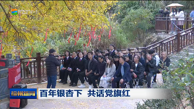 百年银杏下 共话党旗红