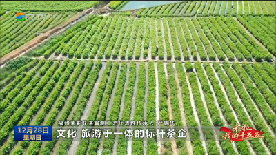 福州：奋斗者的“十五五”新期待