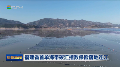 福建省首单海带碳汇指数保险落地连江