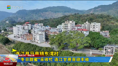 “冬日甜蜜”采收忙 連江甘蔗喜迎豐收