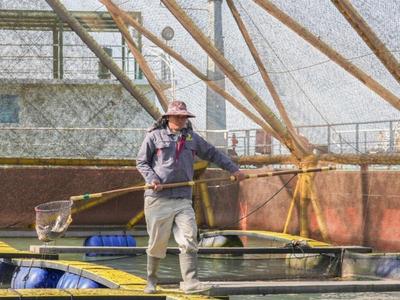 走，去深远海牧“洋”去