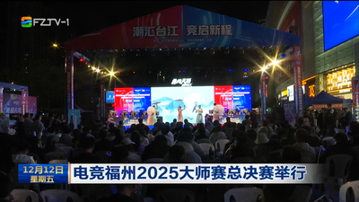 电竞福州2025大师赛总决赛举行