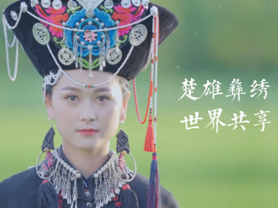 楚雄彝绣 世界共享