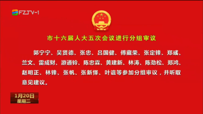 市十六届人大五次会议进行分组审议  