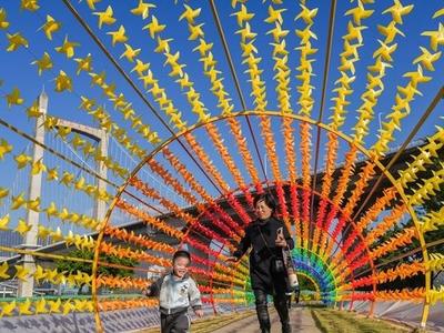 福州花海公园升级 彩虹风车长廊受欢迎