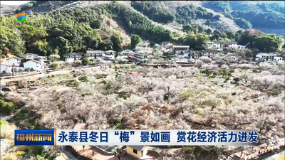 永泰县冬日“梅”景如画 赏花经济活力迸发
