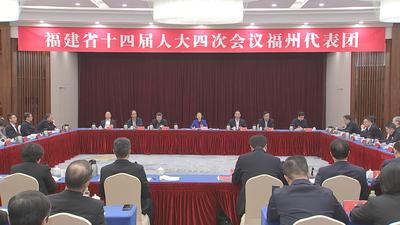 福州代表团召开全团会议 审议省人大常委会工作报告等
