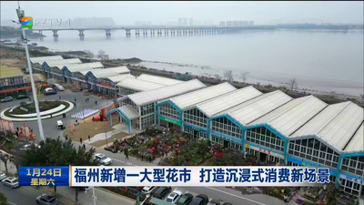 福州新增一大型花市 打造沉浸式消费新场景