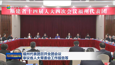 福州代表团召开全团会议 审议省人大常委会工作报告等