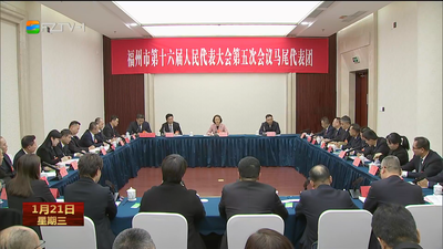 市人大代表分组审议市人大常委会工作报告 凝心聚力启新程 实干担当谋发展