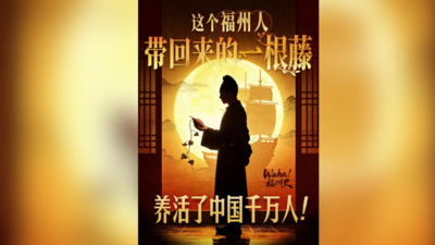 Waha！福州史丨这个福州人带回来的一根藤，养活了中国千万人！