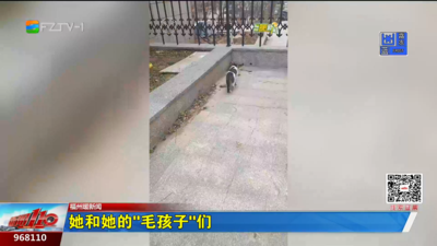 她和她的“毛孩子”们