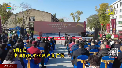 纪念福建船政创办160周年暨首届严复文化周启幕