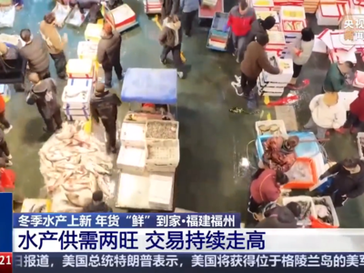 央视新闻关注：应季水产品大量上市 你家餐桌上的海鲜可能来自这里